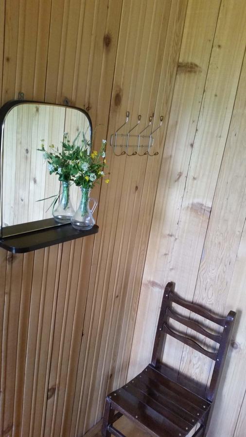 Guesthouse Angelina Ushguli Zewnętrze zdjęcie