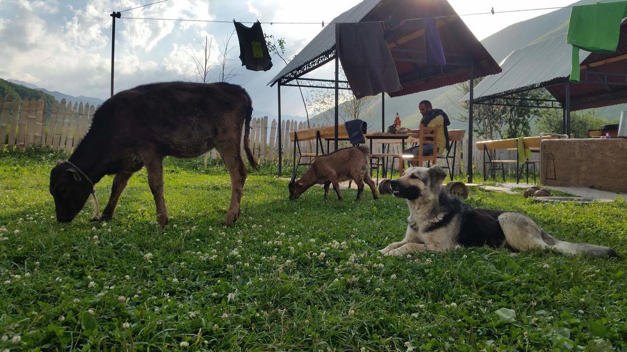 Guesthouse Angelina Ushguli Zewnętrze zdjęcie